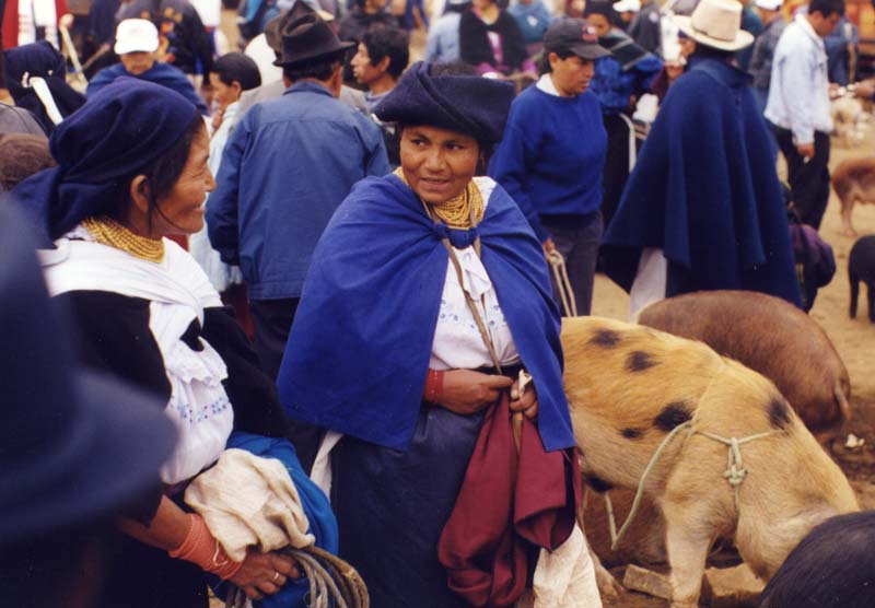 The Pig Market Otavallo