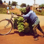 Meals on wheels - Matoke Bananas