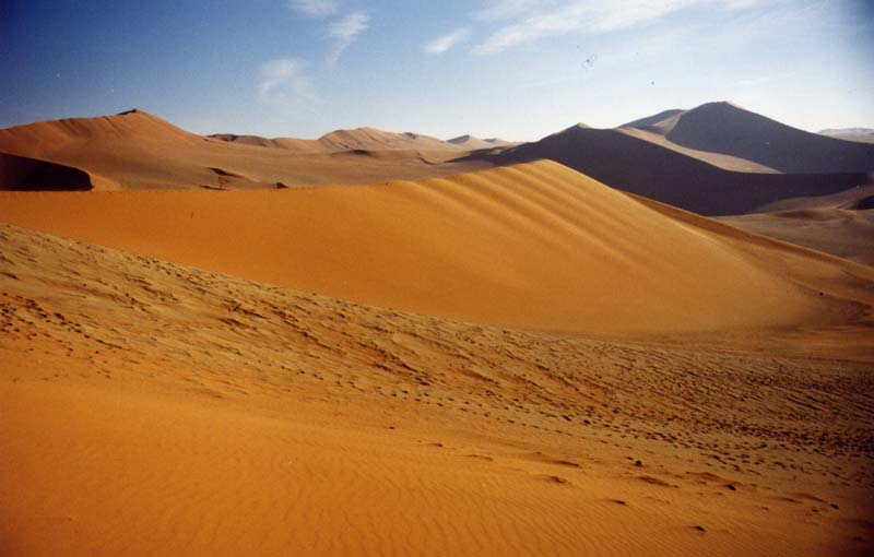 Namibian Sand dunes - the tallest in Africa