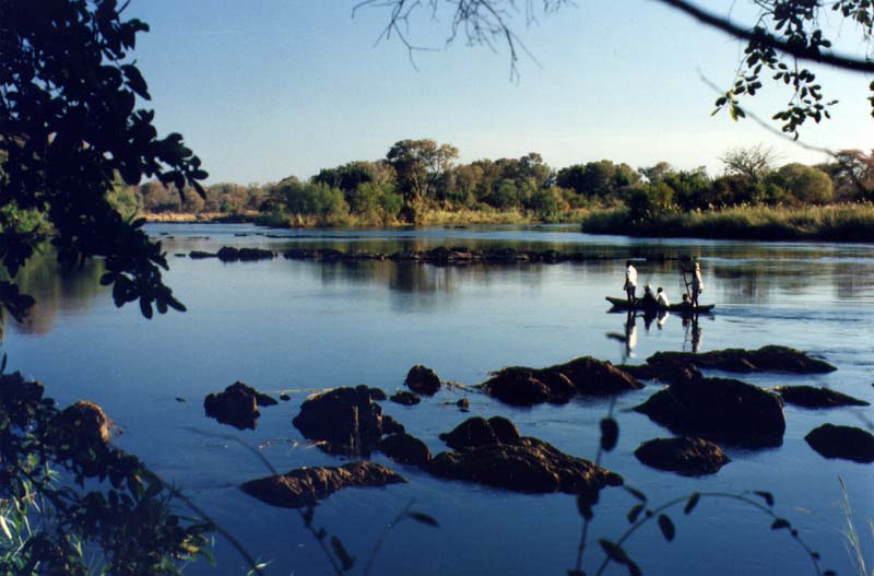 Rush hour on the Zambezi River